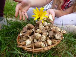 foto0039 0004 p1060312