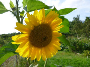 foto0039 0009 p1050232