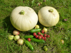 foto0039 0010 p1050200