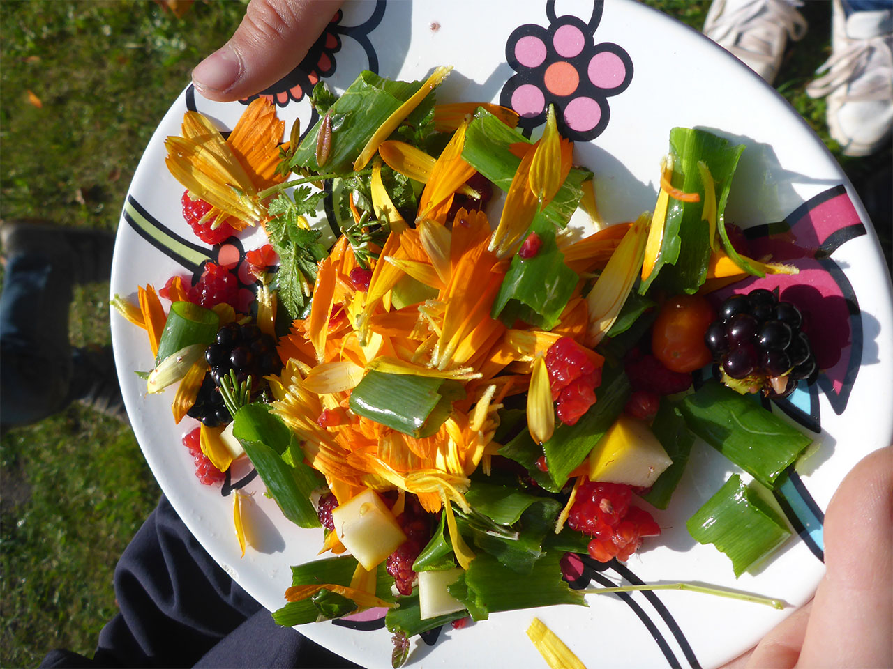 foto0039 0016 gh wbs rr 051