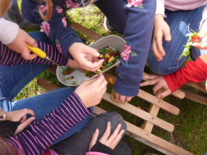 fotos verkleinert029