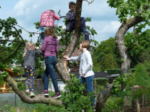 obst ag garten 5.19 041 klein